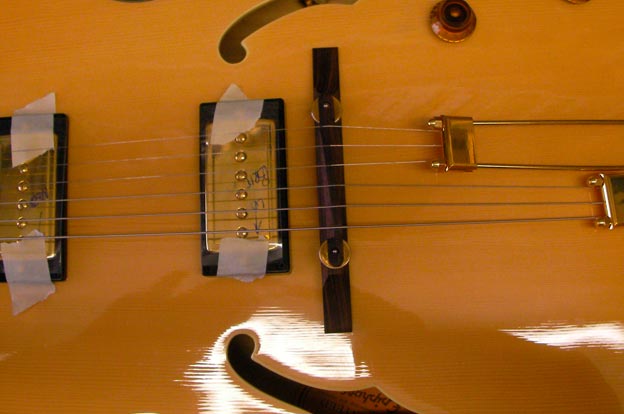 Replacement Pickup Guitar George